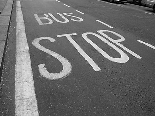 Image showing Black and white Bus stop sign