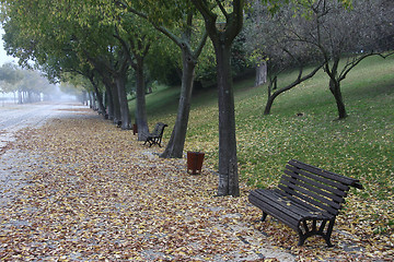 Image showing Foggy Morning