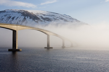 Image showing Out of the mist