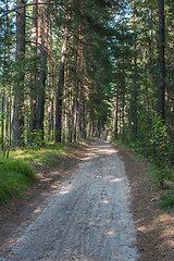 Image showing Forest summer road