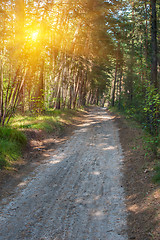 Image showing Forest summer road