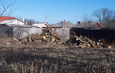 Image showing pile of wood logs