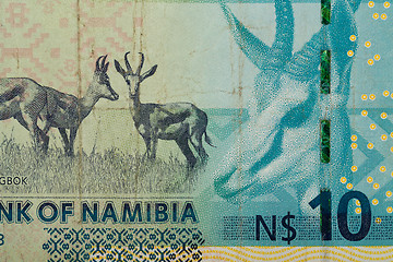 Image showing Detail of 10 Namibian dollars banknote