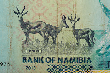 Image showing Detail of 10 Namibian dollars banknote