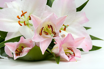 Image showing bouquet of pink lily flower