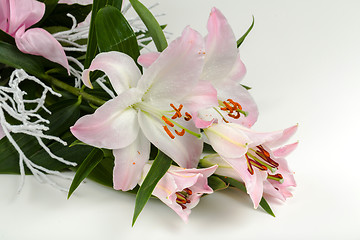 Image showing bouquet of pink lily flower