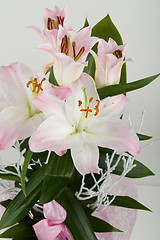 Image showing bouquet of pink lily flower