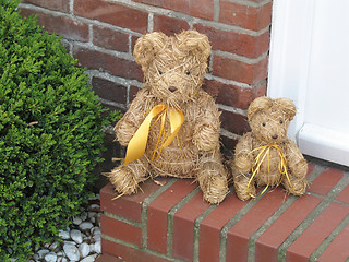 Image showing Teddies