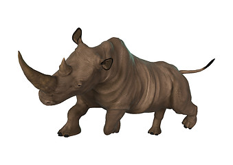 Image showing Wild  Rhinoceros on White