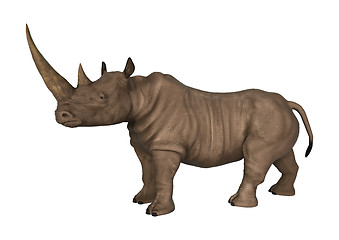 Image showing Wild  Rhinoceros on White