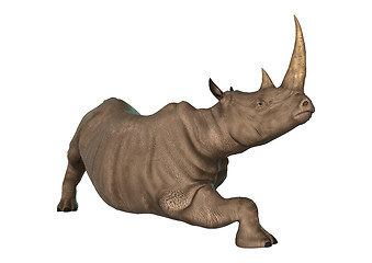 Image showing Wild  Rhinoceros on White