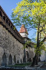 Image showing Danish King\'s Garden in Tallinn, spring view