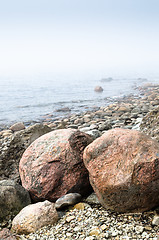 Image showing Coast of Baltic sea in a fog