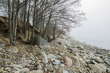 Image showing Coast of Baltic sea in a fog