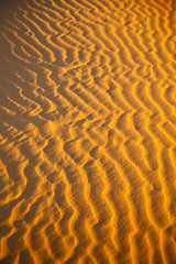 Image showing the brown sand dune in the  morocco desert 