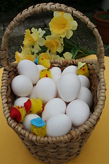 Image showing Easter egg, chickens and daffodils