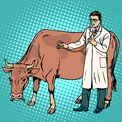 Image showing Veterinarian treats a cow farm animal medicine