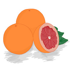 Image showing Ripe cut red grapefruit