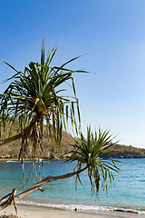 Image showing famous Crystal beach at Nusa Penida island