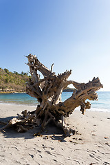 Image showing famous Crystal beach at Nusa Penida island