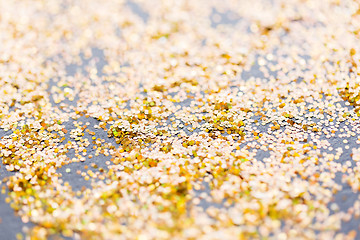 Image showing golden glitter or yellow sequins background