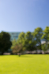 Image showing blurred summer field, trees and blue sky bokeh