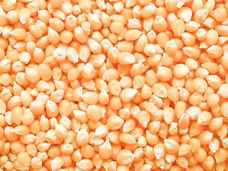 Image showing Retro looking Maize corn