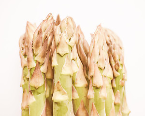 Image showing Retro looking Asparagus vegetable