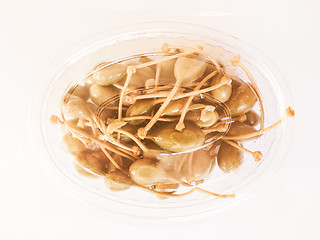 Image showing Retro looking Caper berries