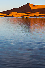 Image showing   in the lake yellow  desert   sand and     dune