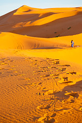 Image showing sunshine in the desert 