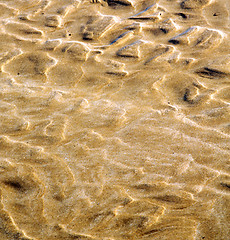 Image showing dune morocco in africa brown  