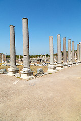 Image showing perge old construction   turkey the roman temple 