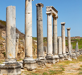 Image showing perge old construction in asia turkey the column  and the roman 