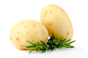 Image showing New potato and green parsley