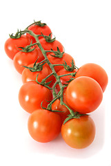 Image showing Cherry tomatoes on the vine