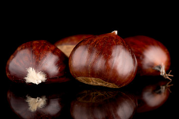 Image showing Chestnuts on a black reflective background