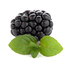 Image showing Blackberries with leaves