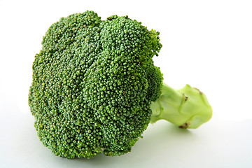 Image showing Fresh broccoli over white