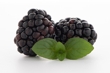 Image showing Blackberries with leaves