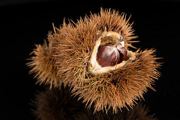 Image showing Chestnuts on a black reflective background