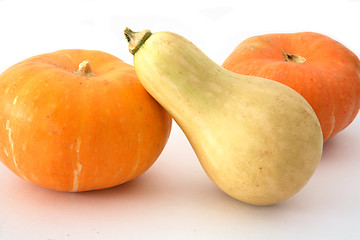 Image showing Pumpkins and squash