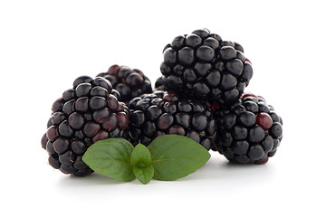 Image showing Blackberries with leaves