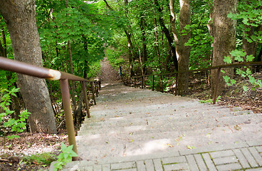 Image showing close up of stair at summer forest or park