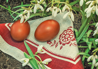 Image showing Two Easter eggs and snowdrops.