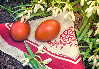 Image showing Two Easter eggs and snowdrops.