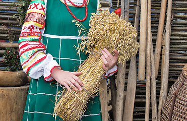 Image showing A sheaf of ears in the hands of women.