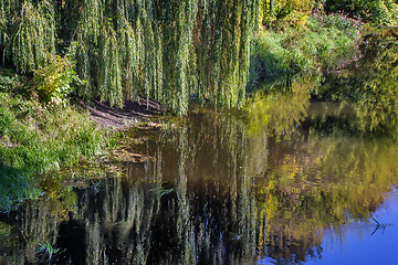 Image showing Landscape: small river and the trees on the Bank.