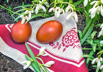 Image showing Two Easter eggs and snowdrops.