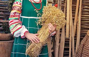 Image showing A sheaf of ears in the hands of women.